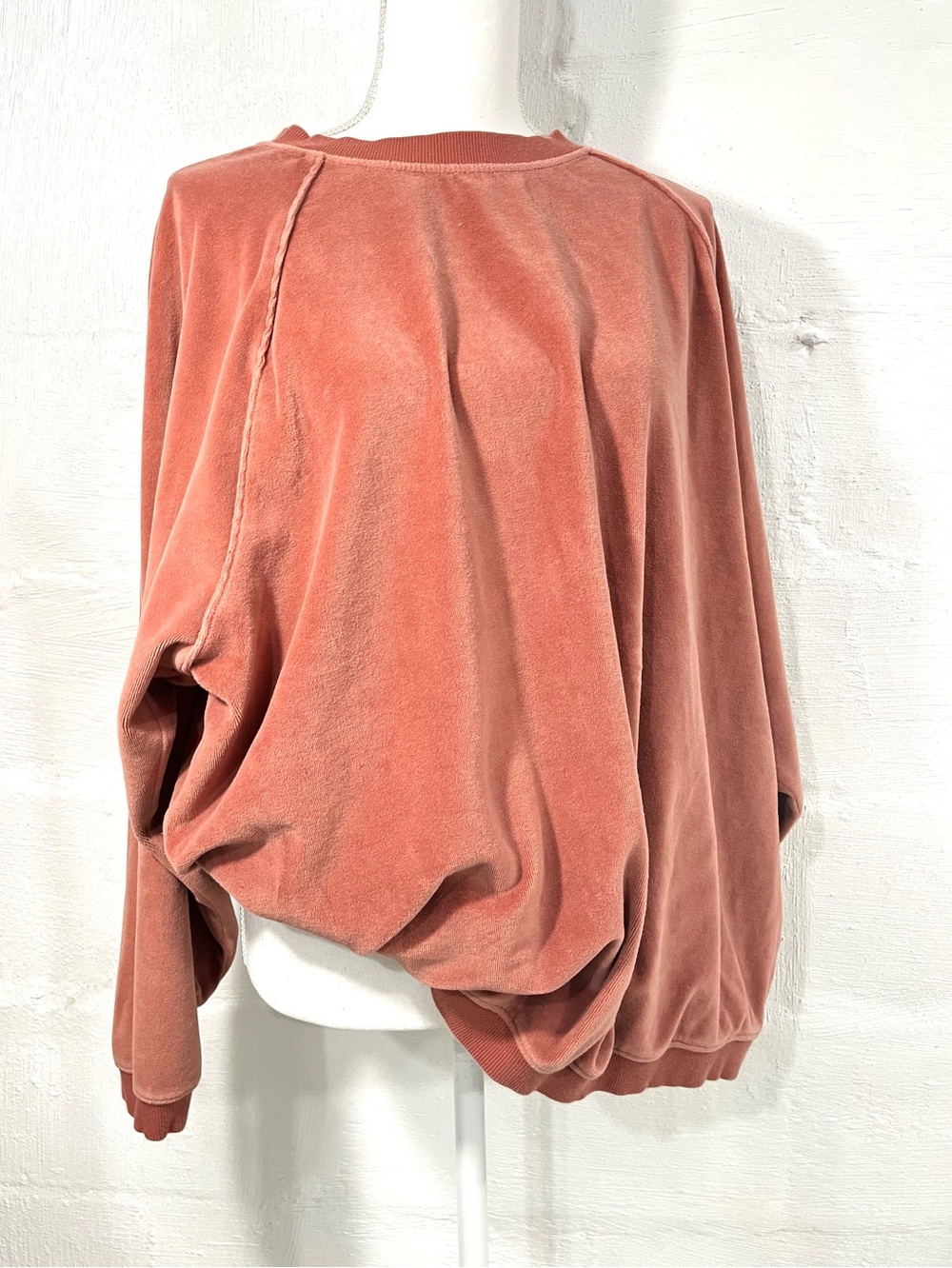 AERIE OVERSIZED VELOUR SWEATSHIRT (204)